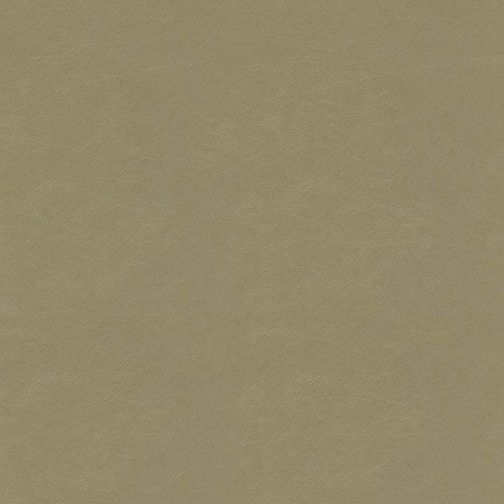 F5057 Cement by Greenhouse Designer Fabric 100% Vinyl, Backing: 100% Polyester China 1,500,000 </p><p>Repeat: None 54" - Swanky Fabrics -
