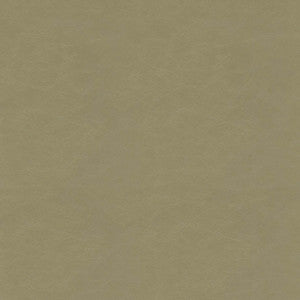 F5057 Cement by Greenhouse Designer Fabric