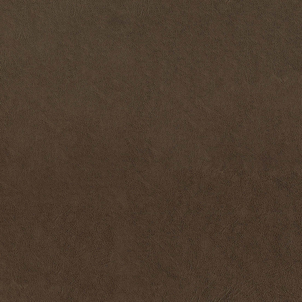 F5060 Saddle by Greenhouse Designer Fabric 100% Vinyl, Backing: 100% Polyester China 1,500,000 </p><p>Repeat: None 54" - Swanky Fabrics -