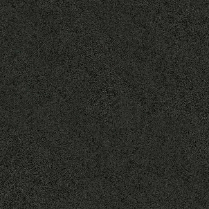 F5067 Charcoal Dust by Greenhouse Designer Fabric 100% Vinyl, Backing: 100% Polyester China 1,500,000 </p><p>Repeat: None 54" - Swanky Fabrics -