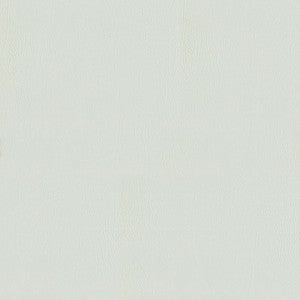 F5070 Crystal Grey by Greenhouse Designer Fabric