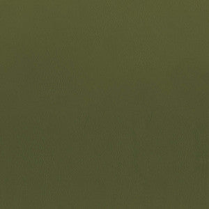 F5077 Fern by Greenhouse Designer Fabric