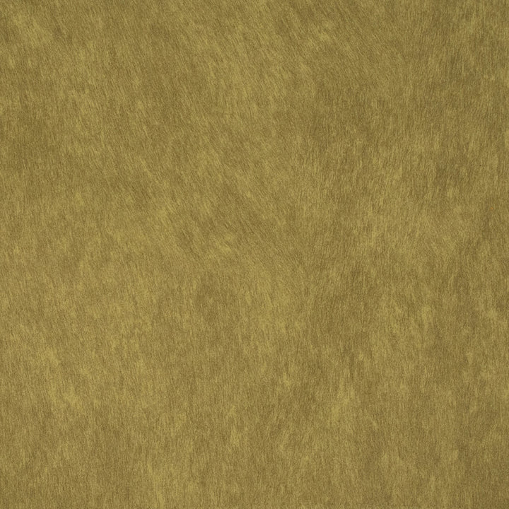 F5225 Grass by Greenhouse Designer Fabric 100% Polyester China 200,000 </p><p>Repeat: None 56" - Swanky Fabrics -