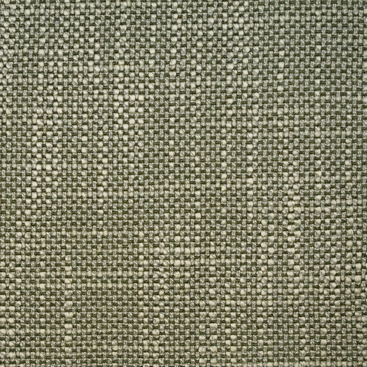 F5227 Sage by Greenhouse Designer Fabric 100% Polyester China 50,000 </p><p>Repeat: None 57" - Swanky Fabrics -