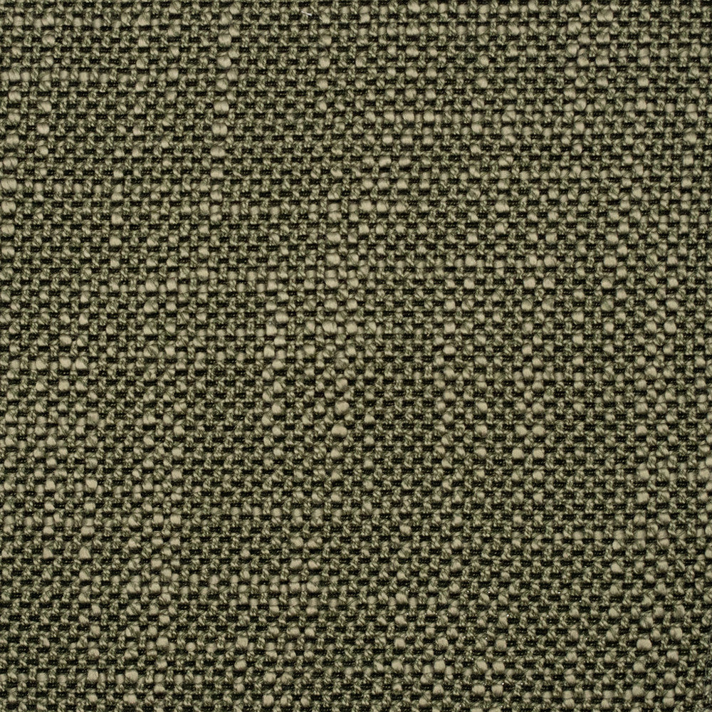 F5266 Alpine by Greenhouse Designer Fabric 100% Polyester China 50,000 </p><p>Repeat: None 57" - Swanky Fabrics -
