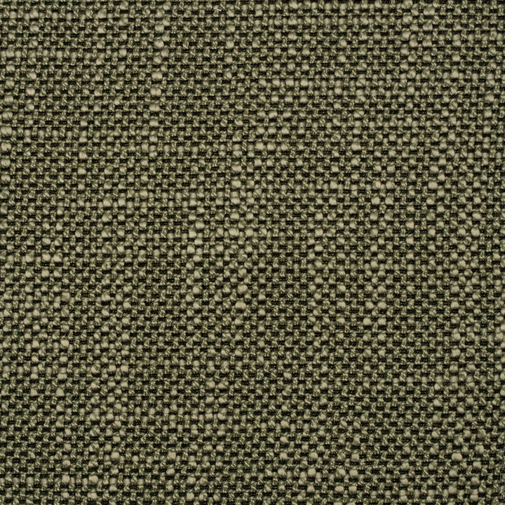 F5266 Alpine by Greenhouse Designer Fabric 100% Polyester China 50,000 </p><p>Repeat: None 57" - Swanky Fabrics -