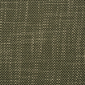 F5266 Alpine by Greenhouse Designer Fabric