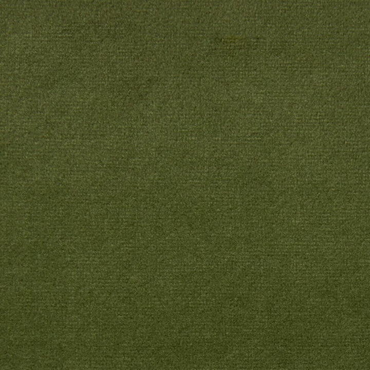 F5335 Dill by Greenhouse Designer Fabric 100% Polyester China 100,000 </p><p>Repeat: None 54" - Swanky Fabrics -