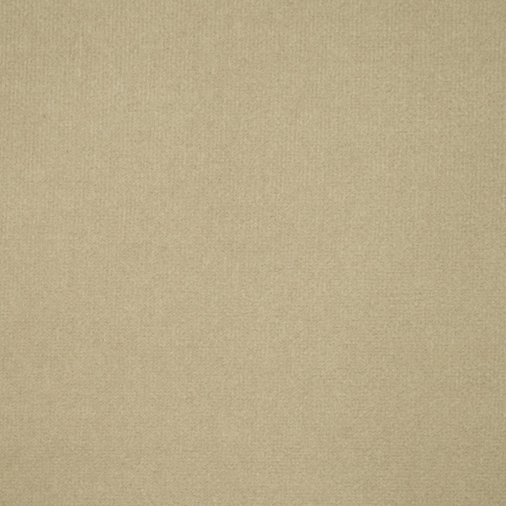 F5437 Pebble by Greenhouse Designer Fabric 100% Polyester China 30,000 </p><p>Repeat: None 54" - Swanky Fabrics -