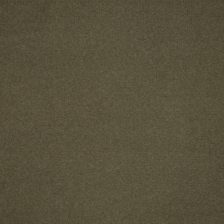 F5439 Otter by Greenhouse Designer Fabric 100% Polyester China 30,000 </p><p>Repeat: None 54" - Swanky Fabrics -