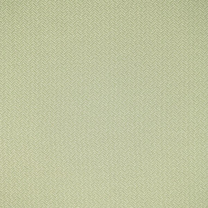 F5456 Snow Day by Greenhouse Designer Fabric