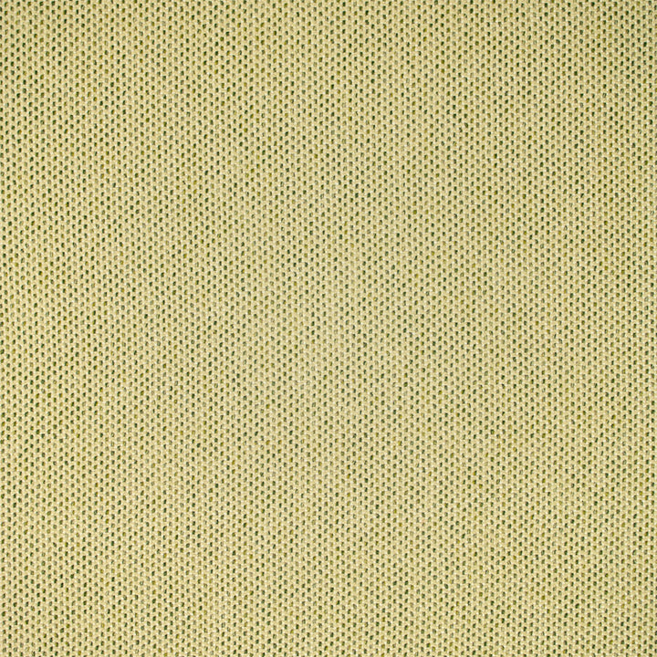 F5464 Grass by Greenhouse Designer Fabric 98.58% Olefin, 1.42% Polyester USA 51,000 </p><p>Repeat: .188" H, .188" V 54" - Swanky Fabrics -