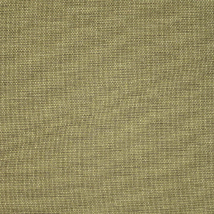 F5467 Forest by Greenhouse Designer Fabric 100% Olefin USA 72,000 </p><p>Repeat: .188" H, .211" V 54" - Swanky Fabrics -