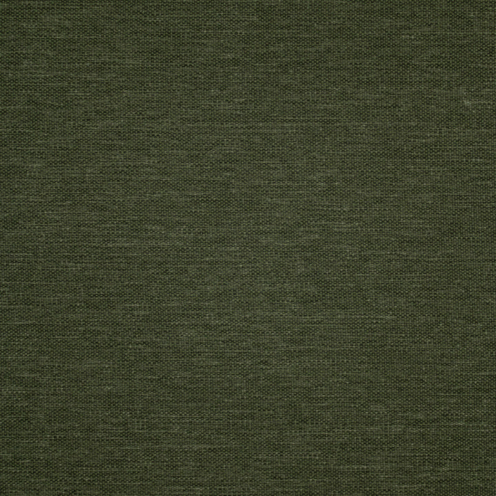 F5473 Graphite by Greenhouse Designer Fabric 100% Olefin USA 108,000 </p><p>Repeat: .063" H, .063" V 56" - Swanky Fabrics -