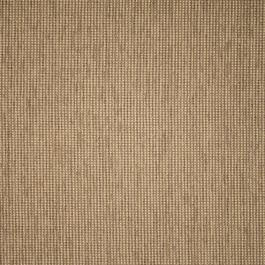 F5550 Driftwood by Greenhouse Designer Fabric