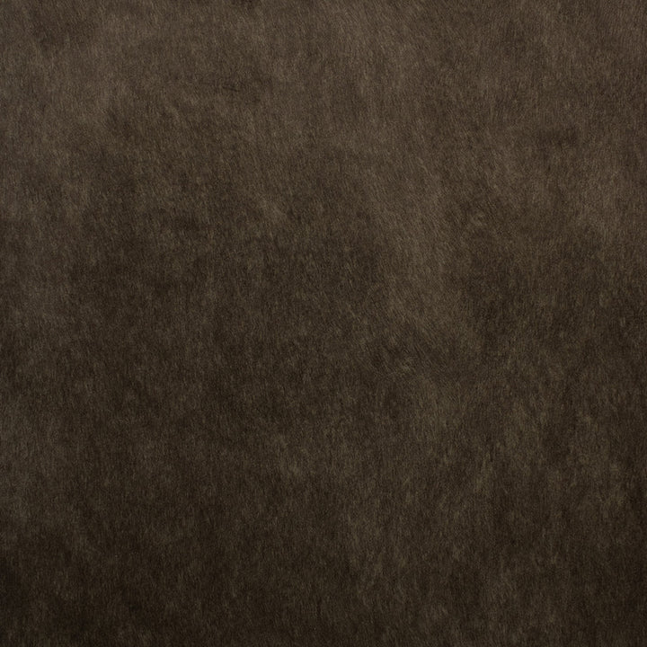 F5572 Espresso by Greenhouse Designer Fabric 100% Polyester China 50,000 </p><p>Repeat: None 55" - Swanky Fabrics -