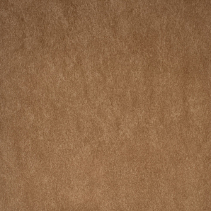 F5578 Camel by Greenhouse Designer Fabric 100% Polyester China 50,000 </p><p>Repeat: None 55" - Swanky Fabrics -