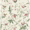 Hummingbirds Cotton Print Classic Multi by Cole & Son Designer Fabric