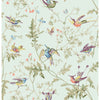 Hummingbirds Cotton Print Duck Egg by Cole & Son Designer Fabric