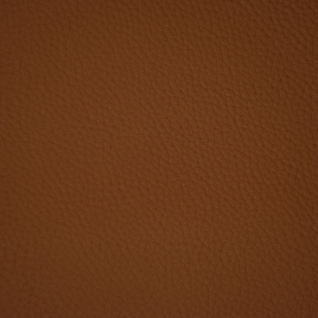 F6658 Cinnamon by Greenhouse Designer Fabric