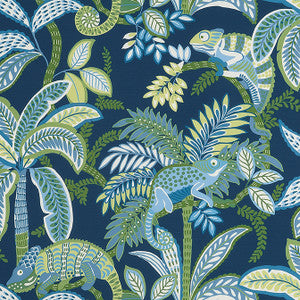 Iggy Coastal F81677 by Thibaut Designer Fabric