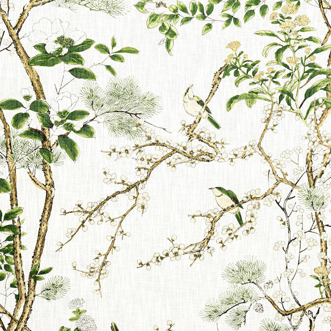 Katsura Green and White F913621 by Thibaut Fabric Thibaut Fabric Katsura Green and White F913621Fabric Grand Palace Fabric Book 82% Viscose, 18% Linen SCOTLAND </p><p>Repeat: V: 50.5 54 - Fabric Carolina -