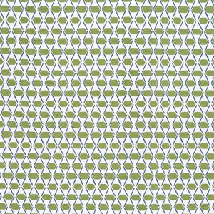 Denver Green and Blue F914327 by Thibaut Designer Fabric