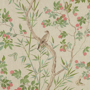 Claire Coral and Green F942009 by Thibaut Designer Fabric