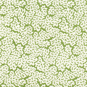Maldives Green F942041 by Thibaut Designer Fabric