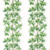 Mangrove Tree Green and White F945035 by Thibaut Designer Fabric