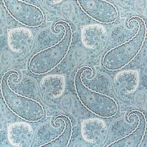 Sherrill Paisley Aqua F985078 by Thibaut Designer Fabric