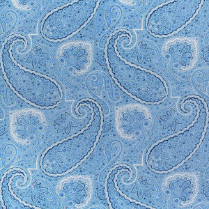 Sherrill Paisley Blue and White F985079 by Thibaut Designer Fabric