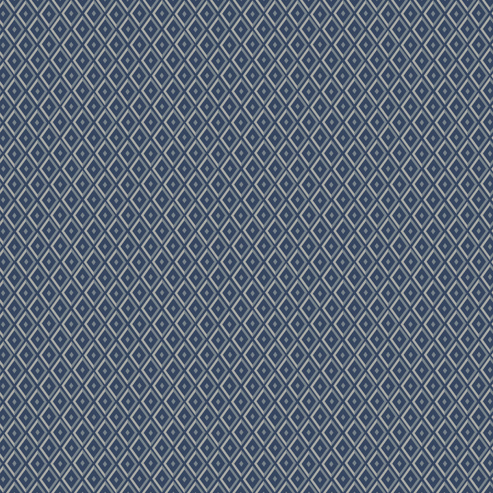 Facet 2W7781 by JF Designer Fabric ARRIS 40% Viscose, 38% Polyester, 22% Cotton Belgium 33000 Horizontal: 2.5 and Vertical: 3 55 - Swanky Fabrics -