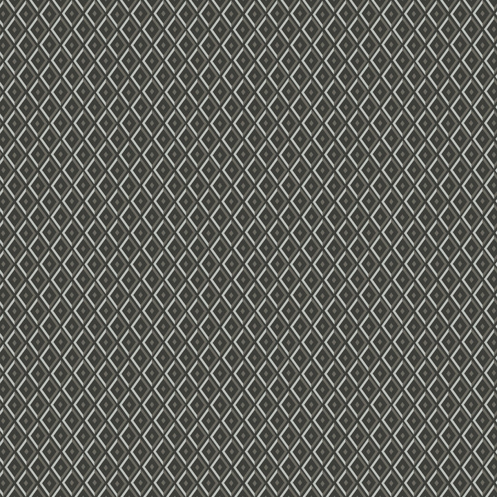 Facet 5W7781 by JF Designer Fabric ARRIS 40% Viscose, 38% Polyester, 22% Cotton Belgium 33000 Horizontal: 2.5 and Vertical: 3 55 - Swanky Fabrics -
