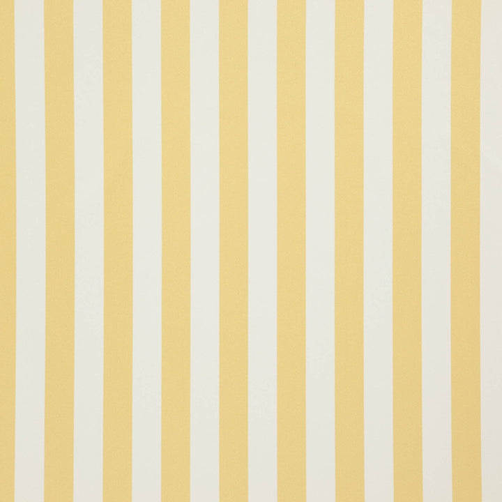 Falsetto 16J7611 by JF Designer Fabric Le Cirque Book 59% Cotton, 41% Polyester India 50000 Horizontal: 2 and Vertical: 55 - Swanky Fabrics -