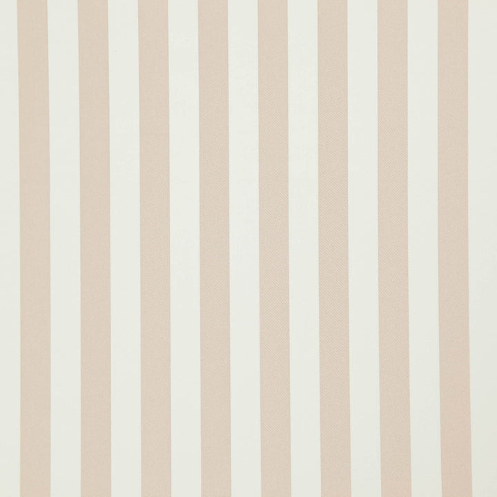 Falsetto 41J7611 by JF Designer Fabric Le Cirque Book 59% Cotton, 41% Polyester India 50000 Horizontal: 2 and Vertical: 55 - Swanky Fabrics -