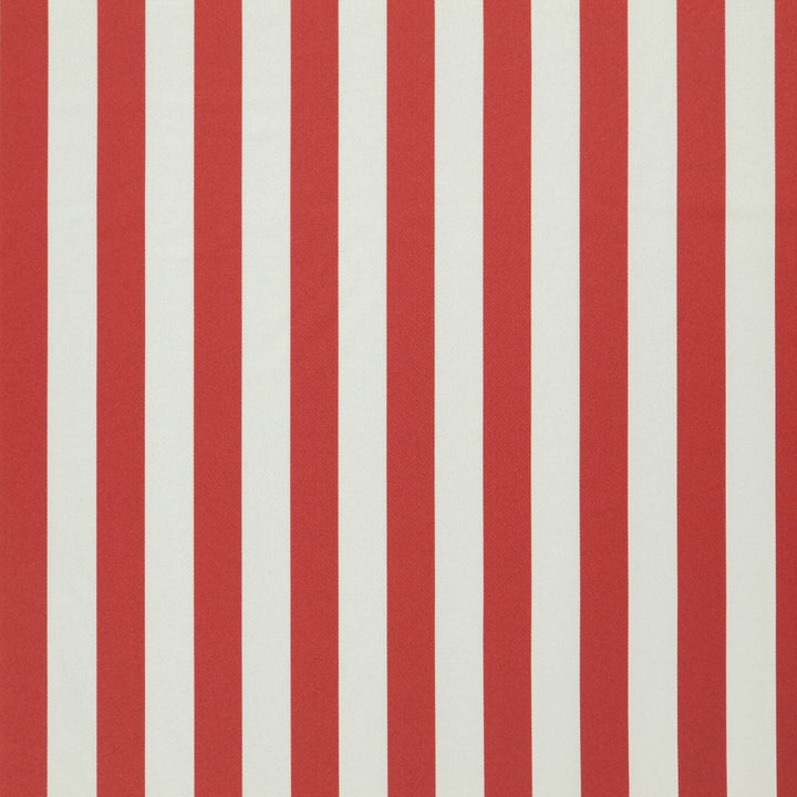 FALSETTO 46J7611 by JF Designer Fabric Le Cirque Book 59% Cotton, 41% Polyester India  Horizontal: 2 and Vertical:  55  - Swanky Fabrics -