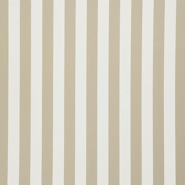 FALSETTO 71J7611 by JF Designer Fabric LE CIRQUE 59% Cotton, 41% Polyester INDIA ABRASIO (HEAVY DUTY- 30,000+ DOUBLE RUBS) Horizontal: 2.000 and Vertical: N/A 55.00 - Swanky Fabrics -