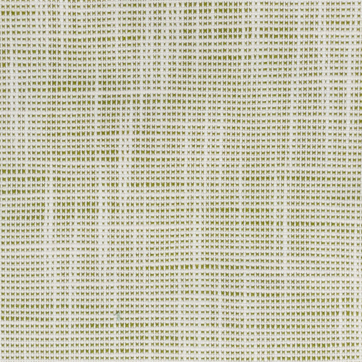 Fame 3 Seedling by Stout Designer Fabric LIVING IS EASY SPRING/SPA 100%UV USA FLAME RETARDANT-U.F.A.C. CLASS 1 CATB 117-2013 Horizontal: 0.000 and Vertical: 0.000 56 in - Swanky Fabrics -