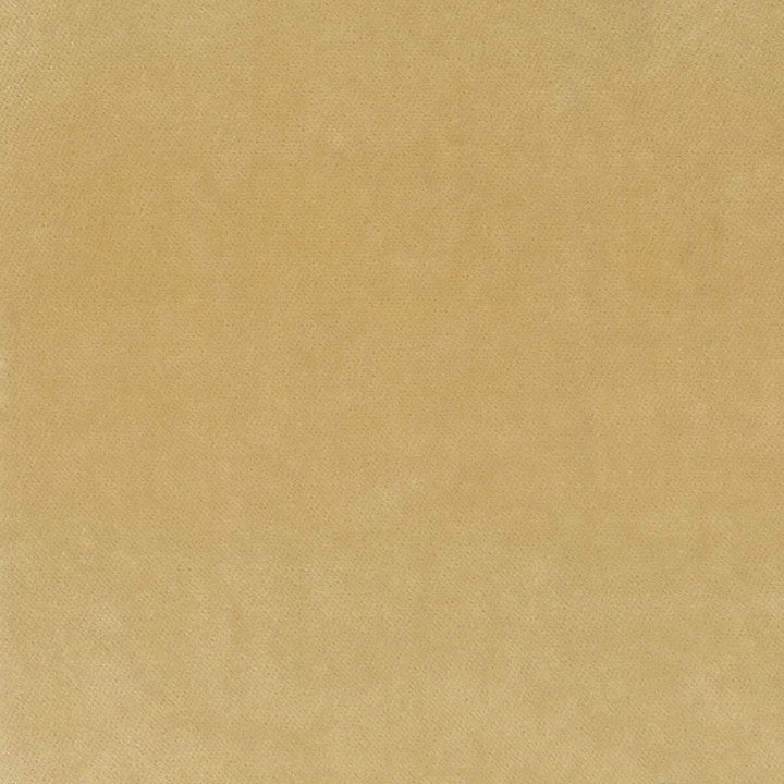 Faraday 2 Champagne by Stout Designer Fabric COMFORTABLE LIVING BLUE LAGOON 82%POL 18%COT SOUTH KOREA FLAME RETARDANT-CA BULLETIN 117-SECTION E FLAME RETARDANT-U.F.A.C. CLASS 1 WYZENBEEK 100 000 DOUBLE RUB WEAR TEST (HEAVY DUTY) </p><p>Repeat: 0 54 in - Swanky Fabrics -