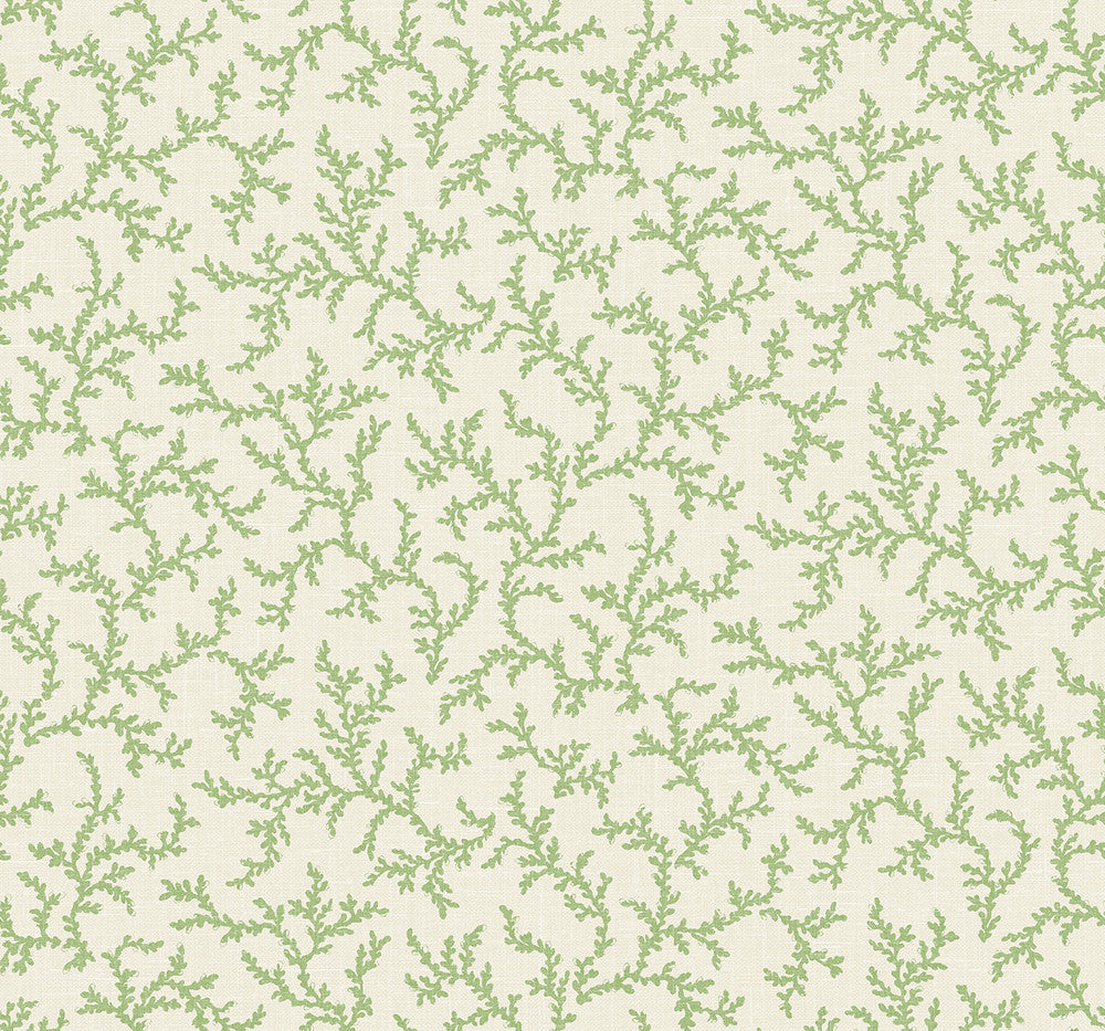 Corail Herb FC62104 by Seabrook Designs Designer Wallpaper