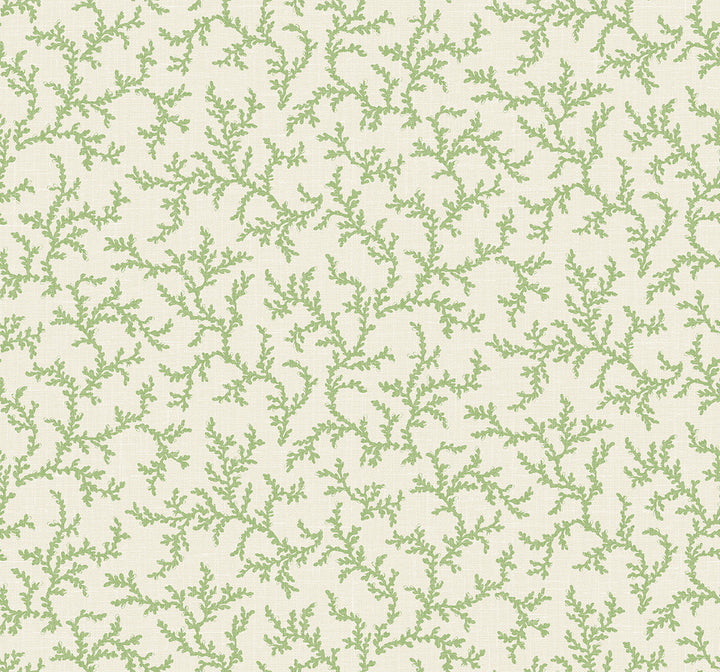Corail Herb FC62104 by Seabrook Designs Designer Wallpaper