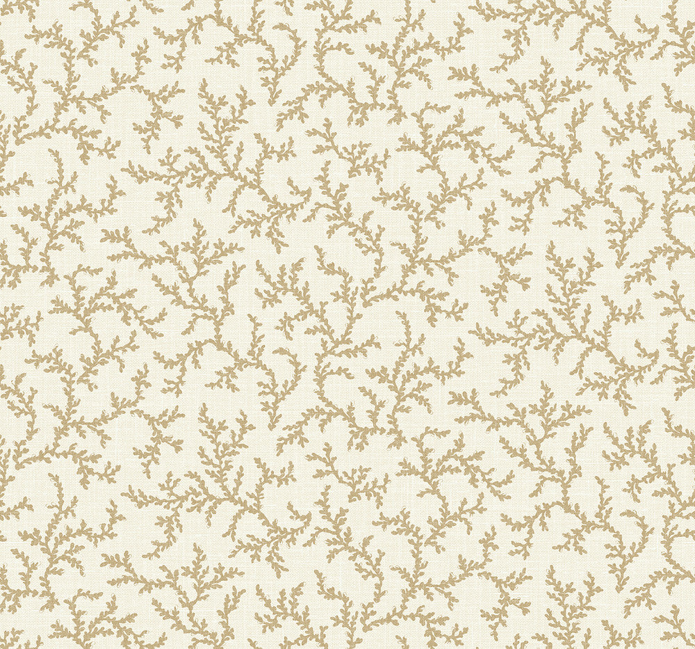 Corail Driftwood FC62106 by Seabrook Designs Designer Wallpaper
