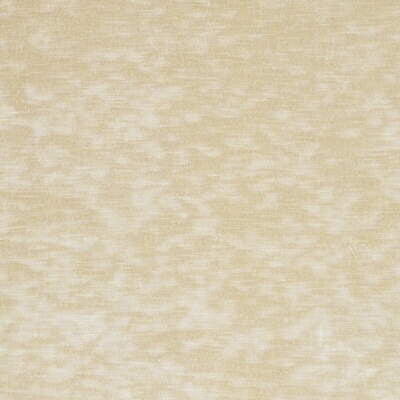 Mulberry Velour Chardonnay by Mulberry Designer Fabric MULBERRY LUXURY VELVETS VISCOSE - 60%;COTTON - 31%;POLYESTER - 9% Italy HEAVY Horizontal: 0 and Vertical: 0 55 - Swanky Fabrics -