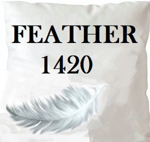 Feather 1420 Insert 14X20 by Norbar Designer Fabric