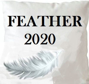 Feather 2020 Insert 20X20 by Norbar Designer Fabric