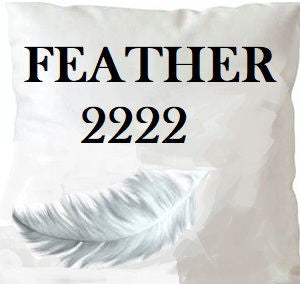 Feather 2222 Insert 22X22 by Norbar Designer Fabric PILLOW INSERT - Swanky Fabrics -