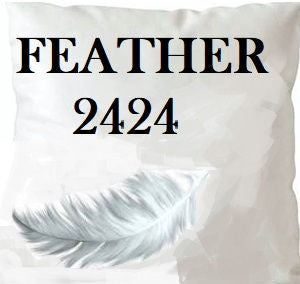 Feather 2424 Insert 24X24 by Norbar Designer Fabric