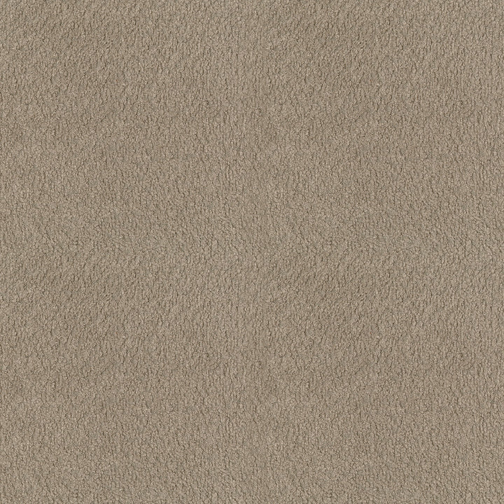 Felicity 62 Fawn by ABBEYSHEA Designer Fabric 100% Polyester CN 160,000 Double Rubs (Wyzenbeek) </p><p>Repeat: Horizontal: and Vertical: 55 in. (140 cm) - Swanky Fabrics -