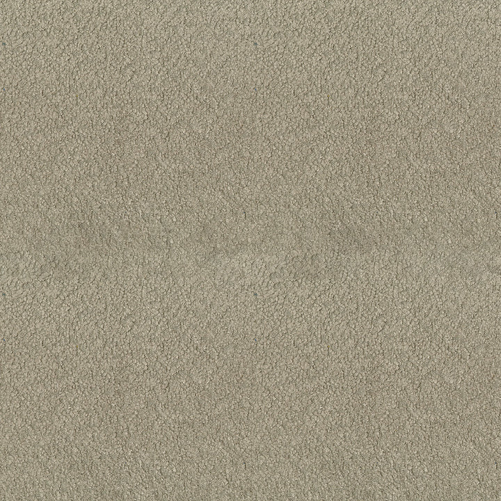 Felicity 64 Putty by ABBEYSHEA Designer Fabric 100% Polyester CN 160,000 Double Rubs (Wyzenbeek) </p><p>Repeat: Horizontal: and Vertical: 55 in. (140 cm) - Swanky Fabrics -